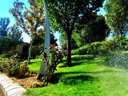 عکس فضای سبز