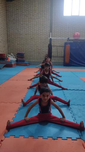 عکس سالن رزمی شهید ابراهیم هادی 