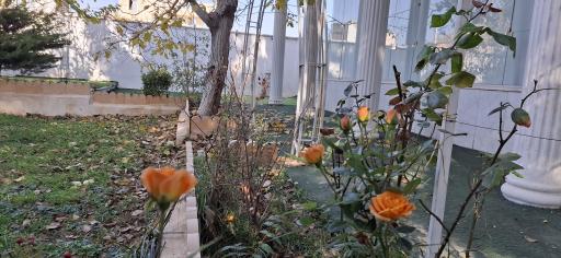 عکس باغ تالار آینه