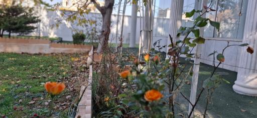 عکس باغ تالار آینه