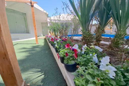 عکس باغ تالار آینه