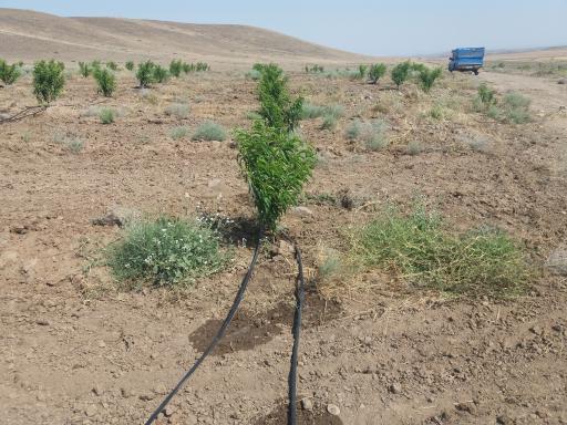 عکس روستای حاج حسن کندی