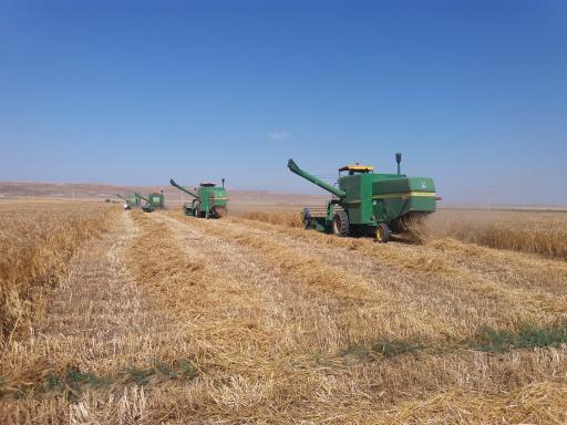 عکس روستای حاج حسن کندی