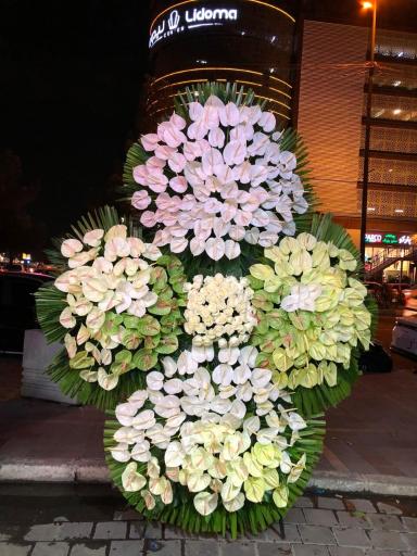 عکس گل فروشی خانه گل