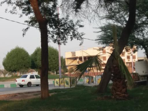 عکس پارک شقایق