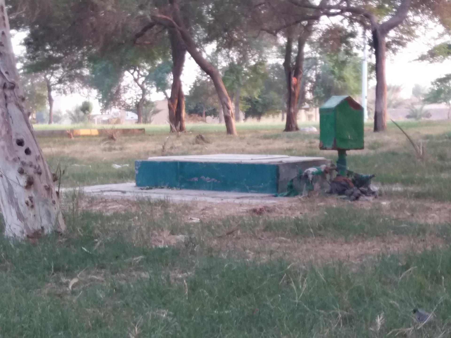 عکس پارک شقایق