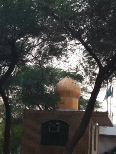 عکس پارک شقایق