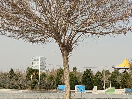 عکس پارک بزرگ شهر اشکذر
