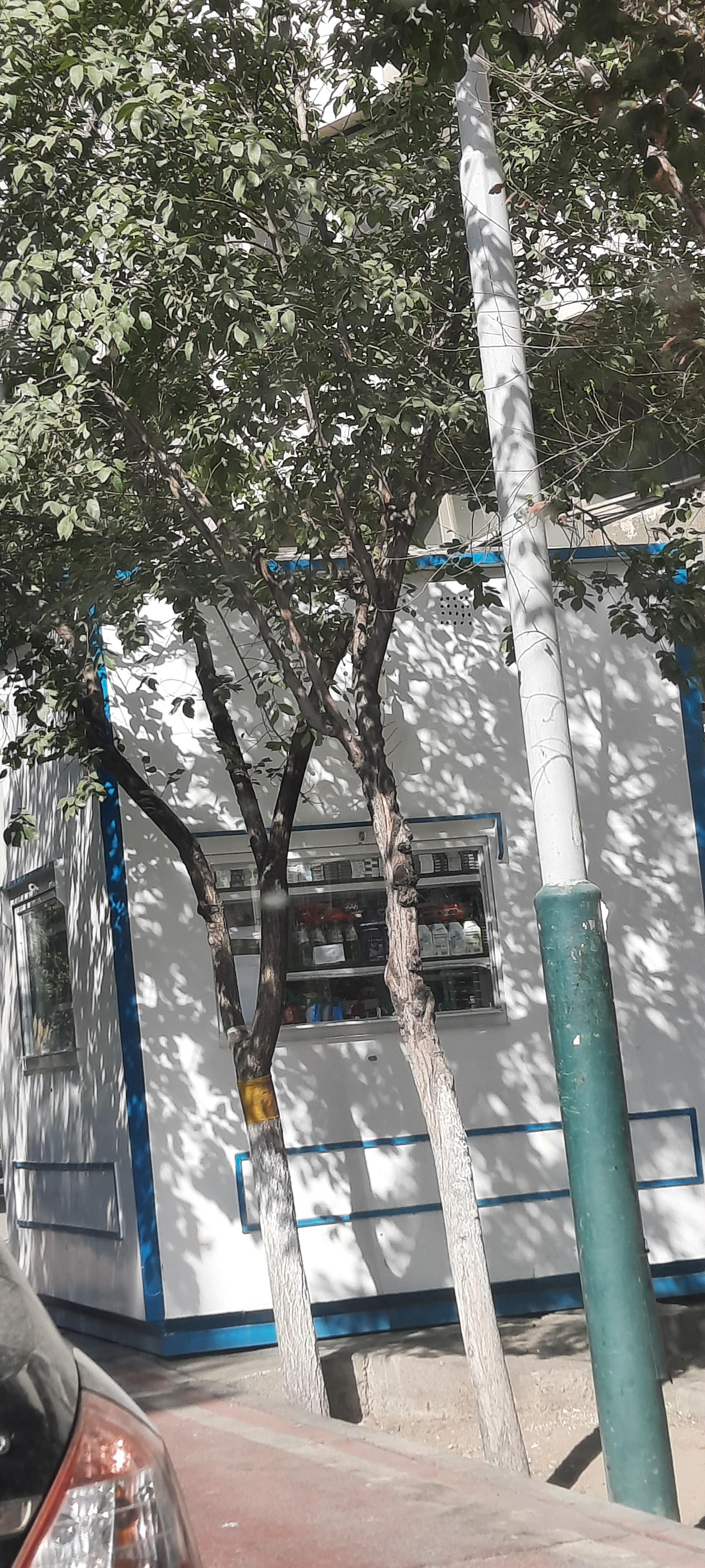 عکس دکه مطبوعات