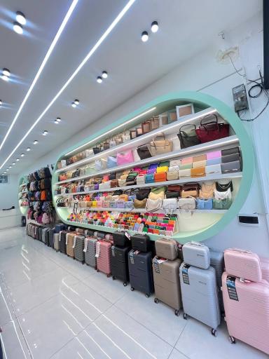 عکس کیف لونیس