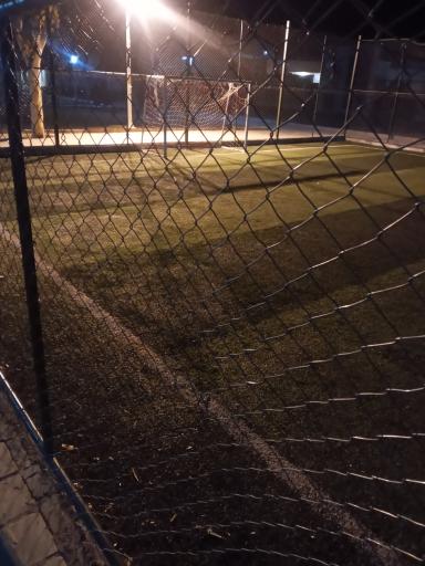 عکس زمین چمن پارک فدک