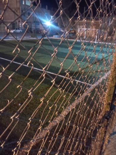 عکس زمین چمن پارک فدک