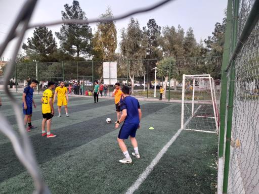 عکس زمین چمن پارک فدک