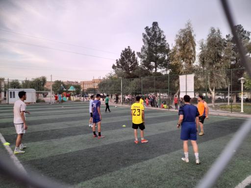 عکس زمین چمن پارک فدک