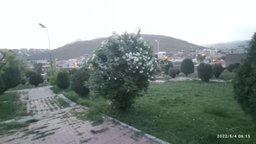 عکس پارک تپه قاضی