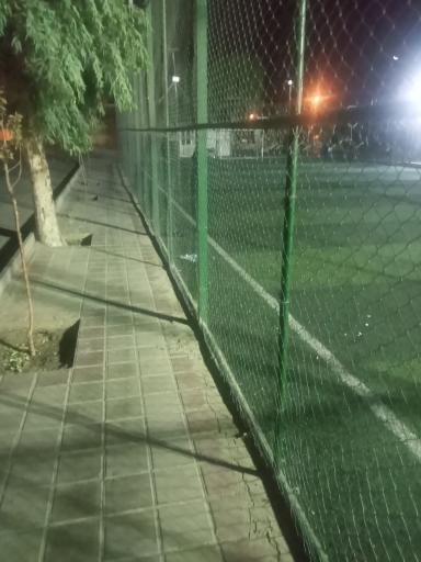 عکس زمین چمن پارک فدک