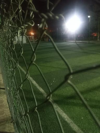 عکس زمین چمن پارک فدک