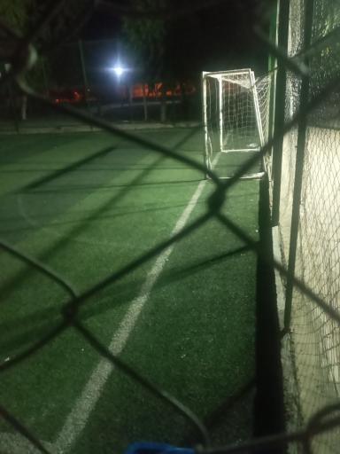 عکس زمین چمن پارک فدک