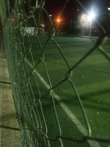 عکس زمین چمن پارک فدک