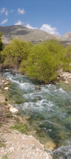 عکس چشمه تیره باغ