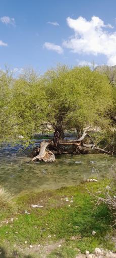 عکس چشمه تیره باغ