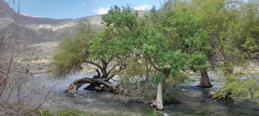 عکس چشمه تیره باغ