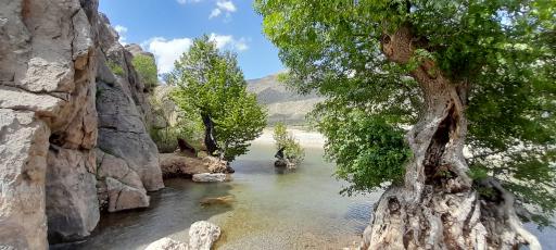 عکس چشمه تیره باغ