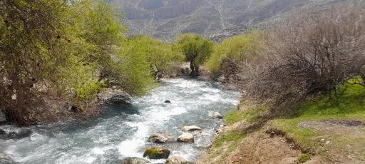عکس چشمه تیره باغ