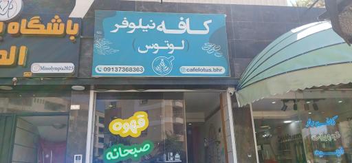 عکس کافه نیلوفر (لوتوس)