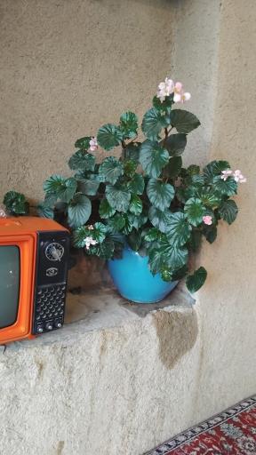 عکس آشکده خاتون