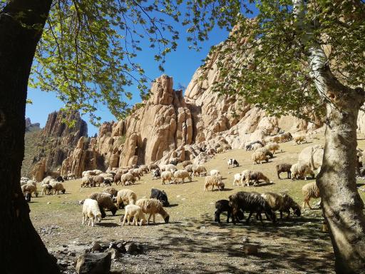 عکس چشمه تیره باغ