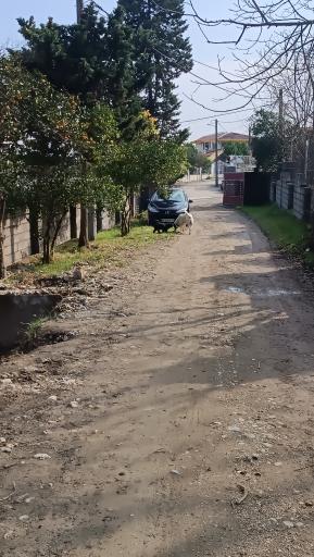 عکس شهرک کاکوان