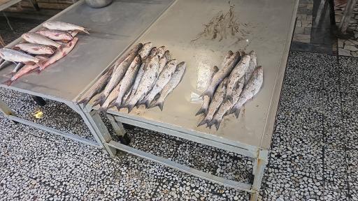 عکس ماهی فروشی ساحل