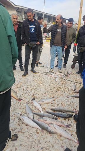 عکس ماهی فروشی ساحل