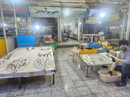 عکس ماهی فروشی ساحل