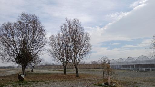 عکس امامزاده غریب حسن