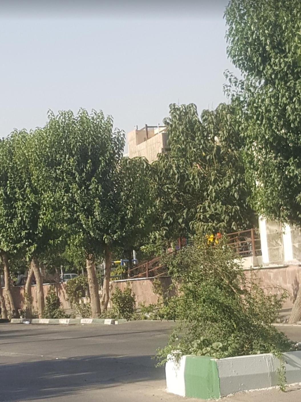 عکس بوستان باغ سبزی