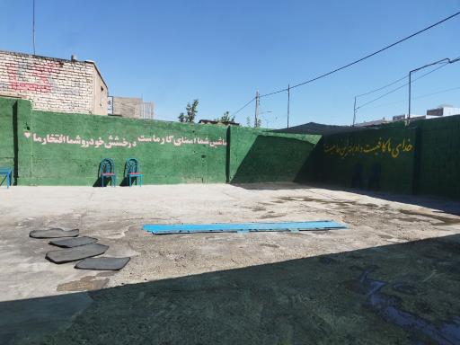 خانم کارواش