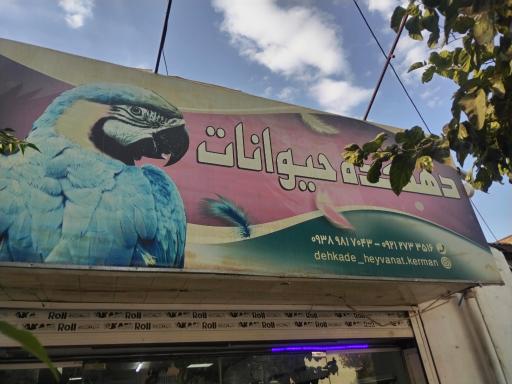 عکس دهکده حیوانات 