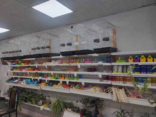 عکس دهکده حیوانات 