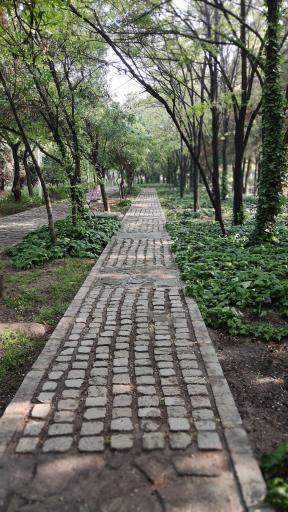 عکس مجتمع شناسایی و کاهش آسیب های اجتماعی (شوق زندگی)