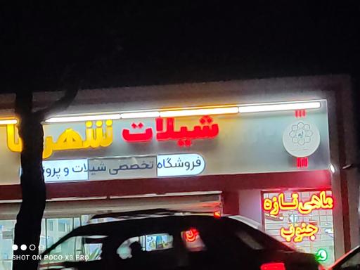 عکس بازار آبزیان و پروتئین شهرما (برادران صالحی)