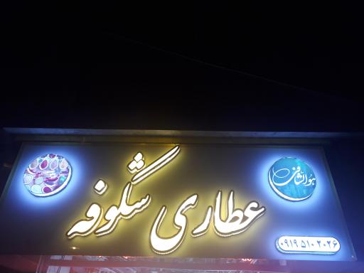 عکس عطاری شکوفه