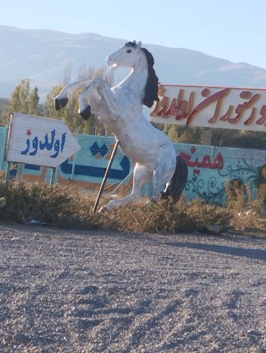 عکس نماد اسب 