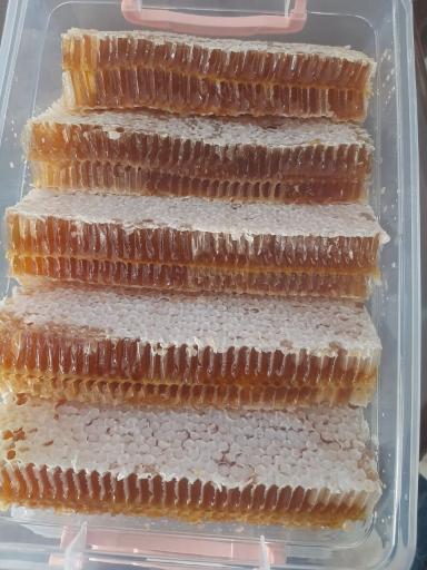 عکس عسل فروشی صددرصد هادی صادقی