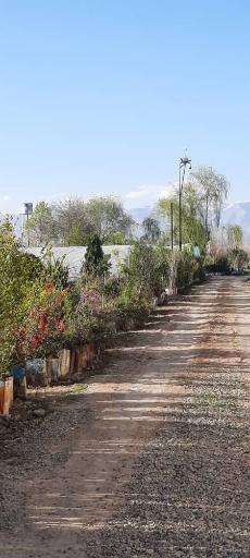 عکس نهالستان چراغی