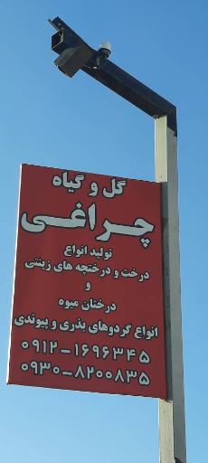 نهالستان چراغی