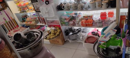 عکس پلاسکو سیبک 