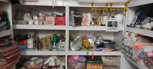 عکس پلاسکو سیبک 