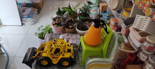 عکس پلاسکو سیبک 